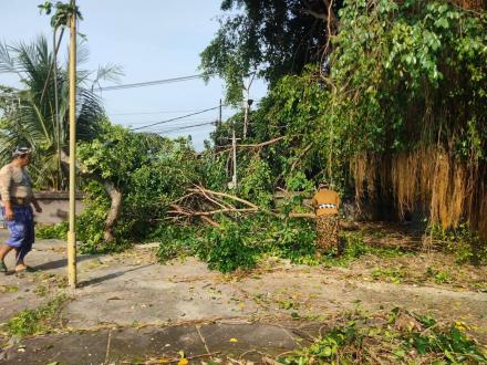 GOTONG ROYONG DI PURA DESA TAMPEKAN